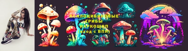 крисы Медвежьегорск