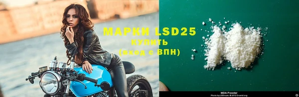 PSILOCYBIN Бежецк