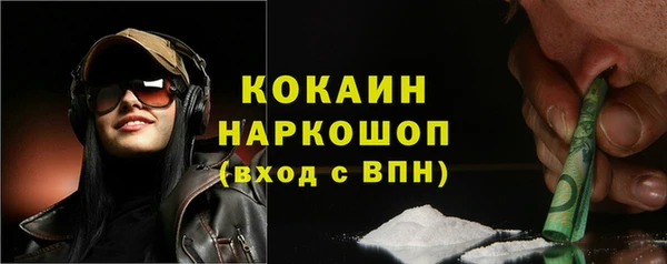 твердый Мегион