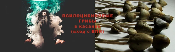 мдма Медногорск