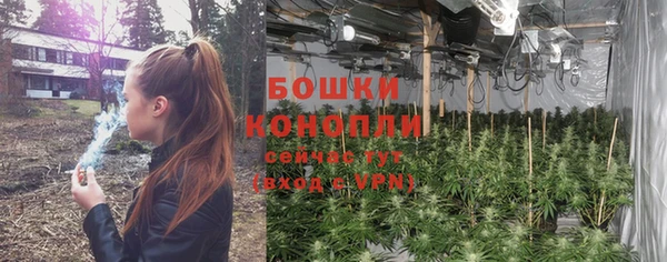 PSILOCYBIN Михайловка