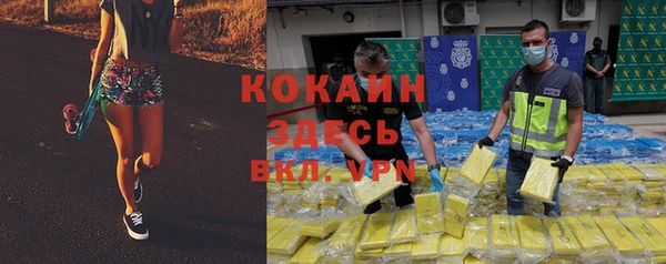 крисы Медвежьегорск