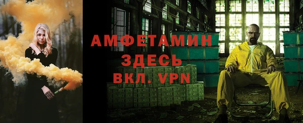 крисы Медвежьегорск