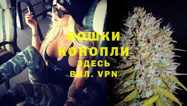 крисы Медвежьегорск