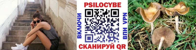 Псилоцибиновые грибы GOLDEN TEACHER Купить где Красный Холм